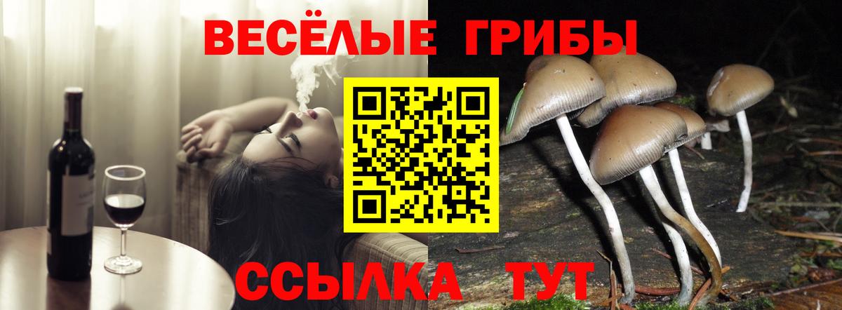 Вязники  Галлюциногенные грибы Psilocybe  Псилоцибиновые грибы MAGIC MUSHROOMS  магазин  наркотиков  Вход с VPN 